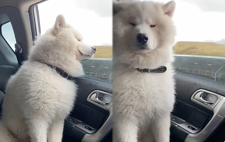 994D6D345FD008360B53BE