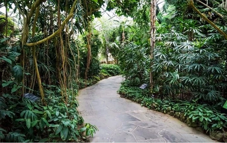 99876A3D6004DEA306C3C1