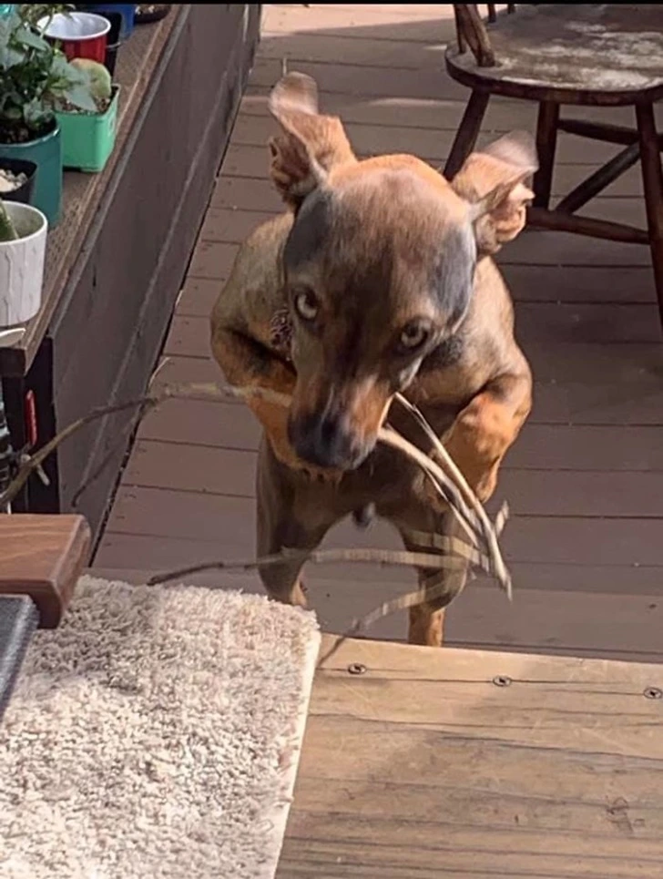 99D1404C5F75558C17E7E7