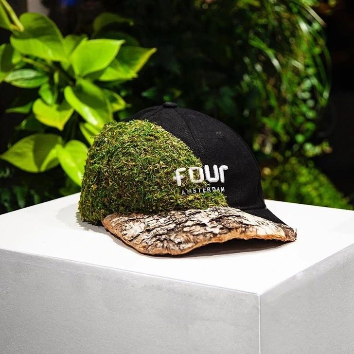 99FDD7475F2BC6C932D6E8