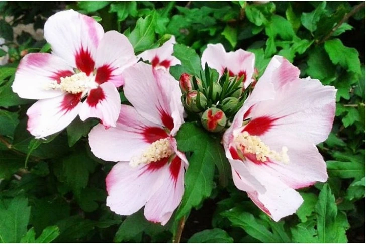 993CE84F5FF7D04B098577