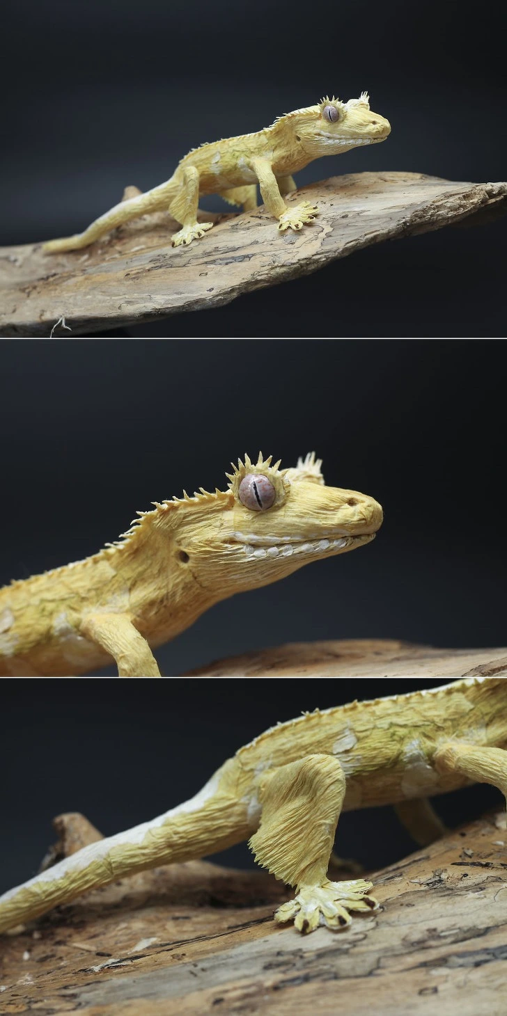 99ACC5385D2737AC01D947