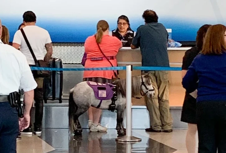 99CAE4355D777D970590B4