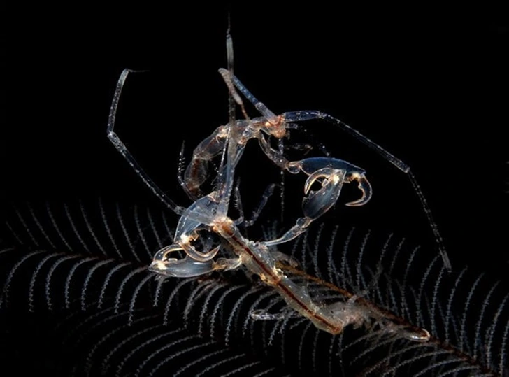 997B9F4E5F597A011564BC