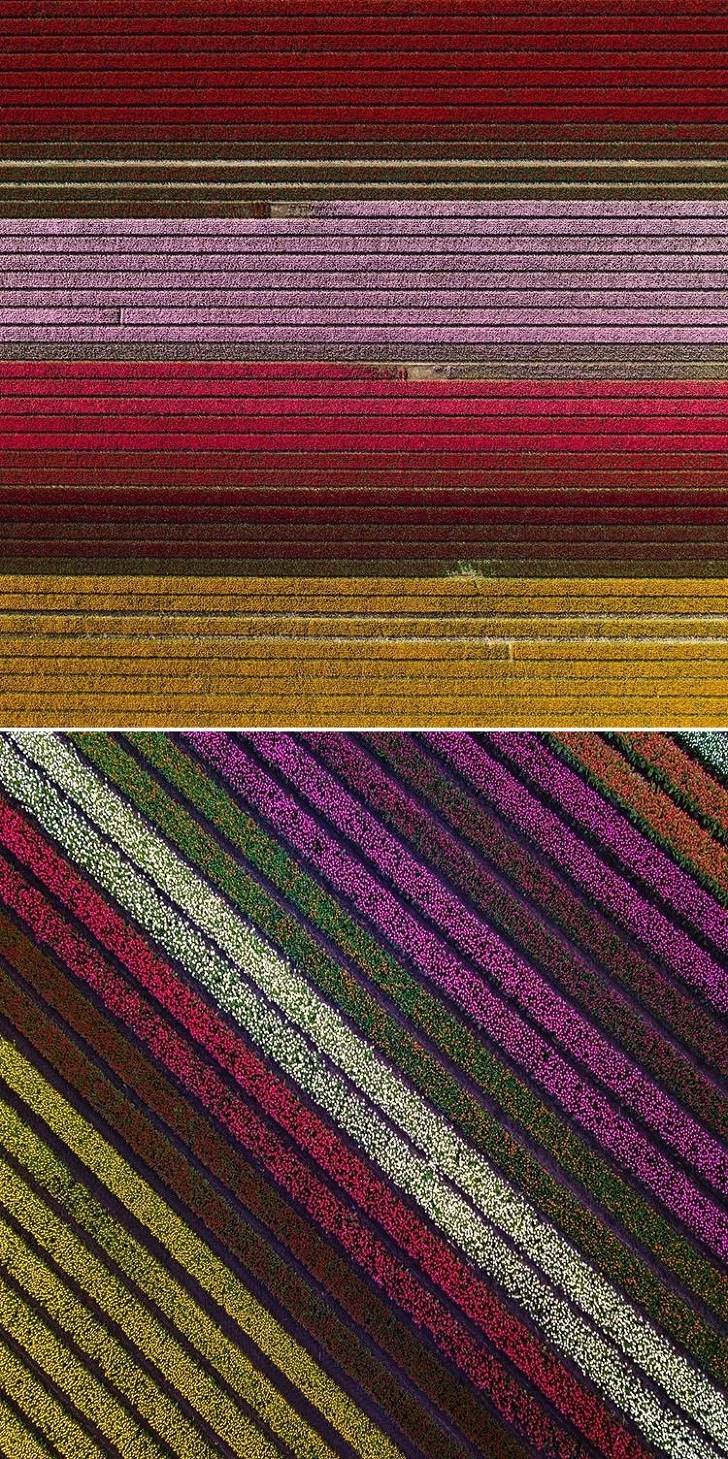 993A89415CCFCBEA05EE87