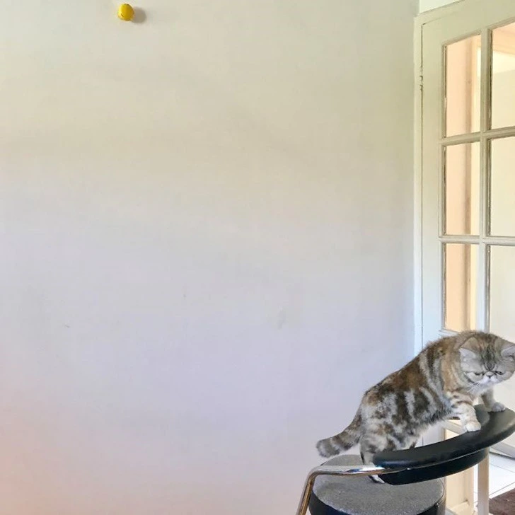 991AA6475F20CC30268B73