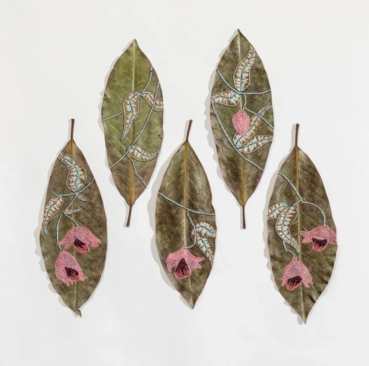 991A814E5FEEAA50134B56