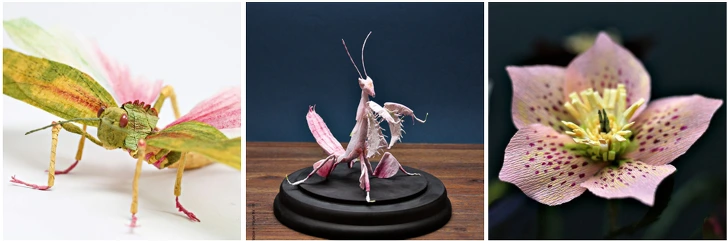 99CCDA425D273E47131B2B