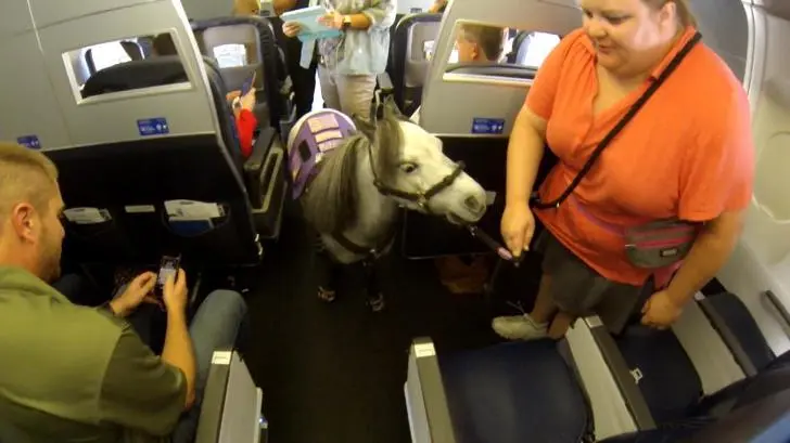 99D93A415D777DB523AC75