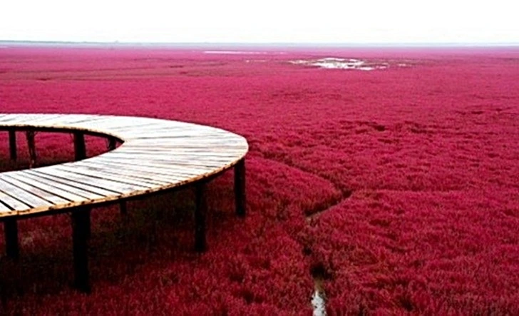 99583E355FE5223609DB1A