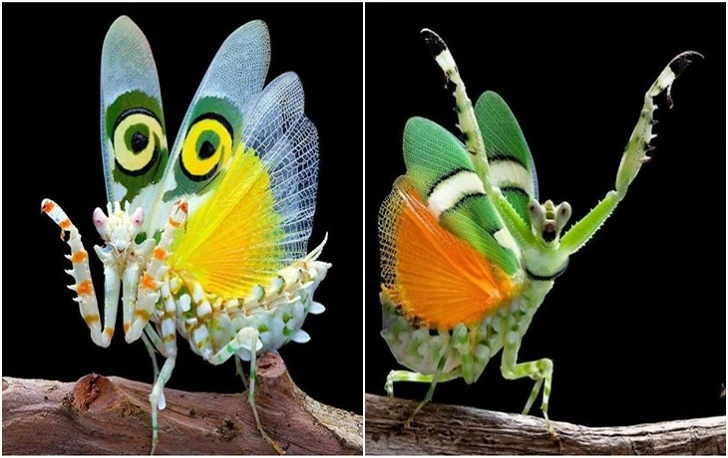 993141455F376D252CB5BD