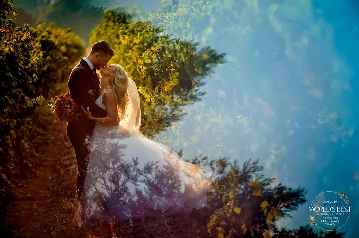 998054455F3D239D35590D