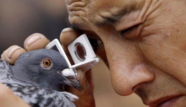 99FC27465FD8007B087AFB