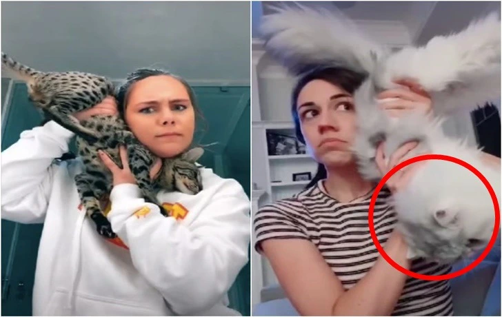 99E0BD3B5F1D4BA62236CD