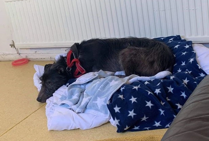 99EC494B600F9AF60FD27F