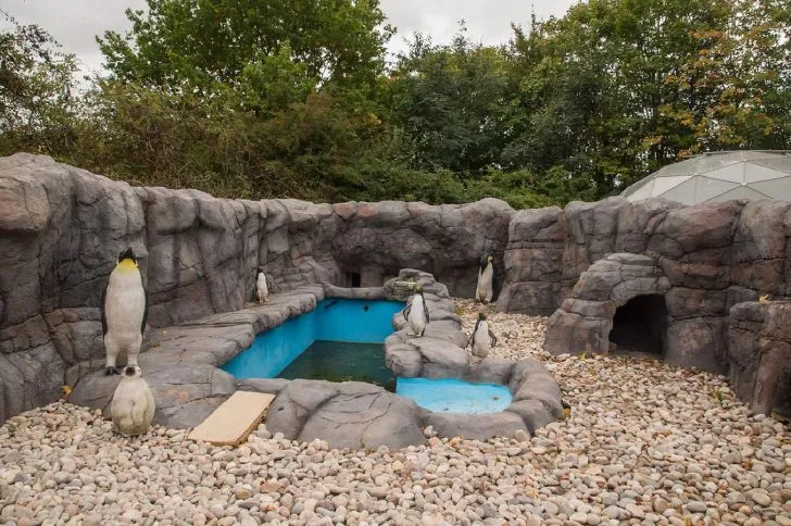 99BDEC355D662834323F76