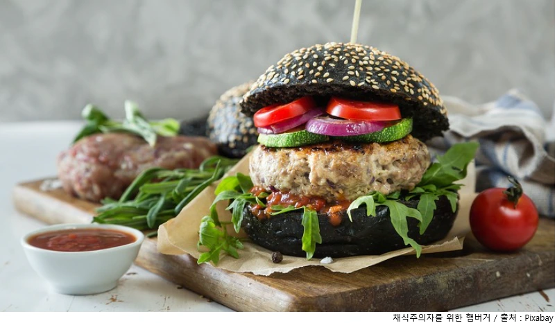 채식주의 다이어트.PNG