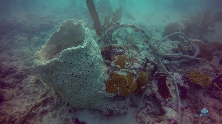 9958FA455DDA49362FA336