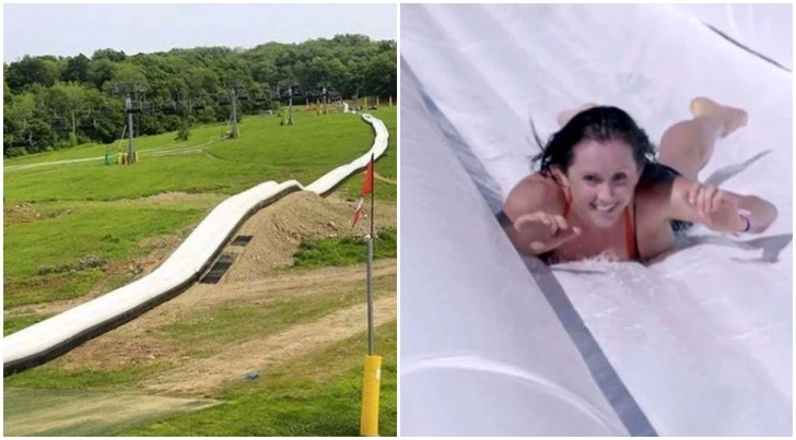 9982443B5D1B5CFF17873B