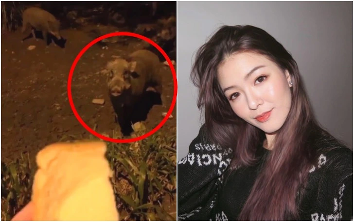 99C9B5395F6BEE1E14C491