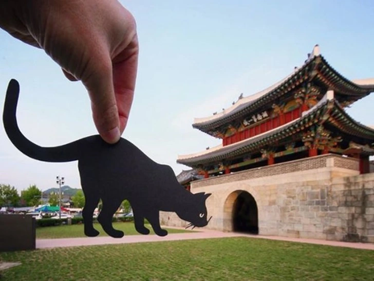 99F3114E5F5ECED5290FFA