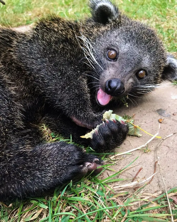 99605E445F22265B21CB82