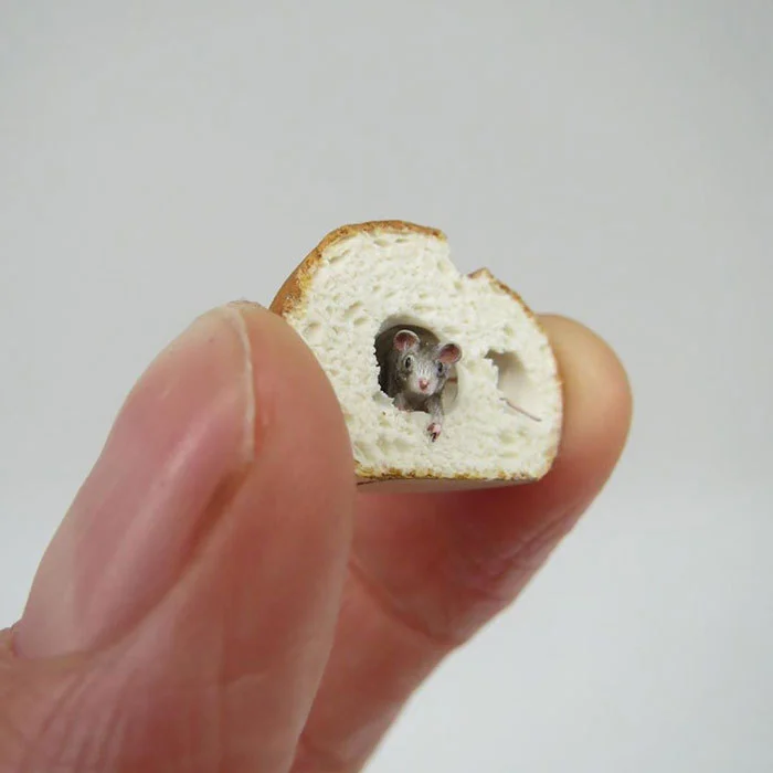 992CB6385F199B26357C5B