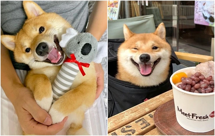 99766B375F695EE8250A93