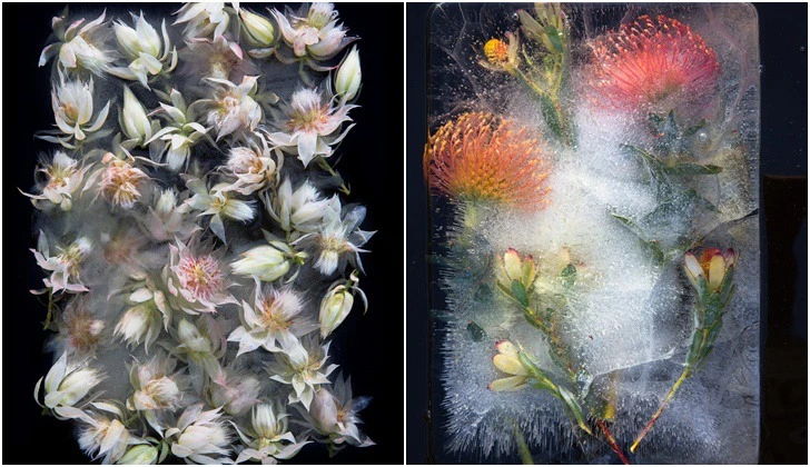 99FE2B3E5D8833A01343AC