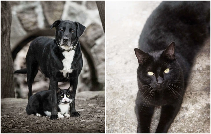 99656F385F7552271571BD