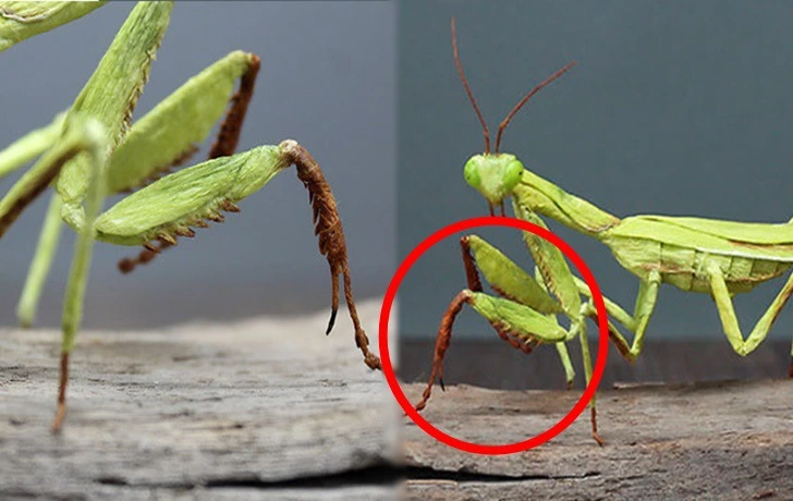 99B1D8405F4B7CD31C3DC3