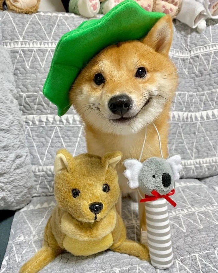 99FF943B5F695DE226E348