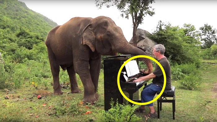 9984993E5E2D4F2E09F0C3