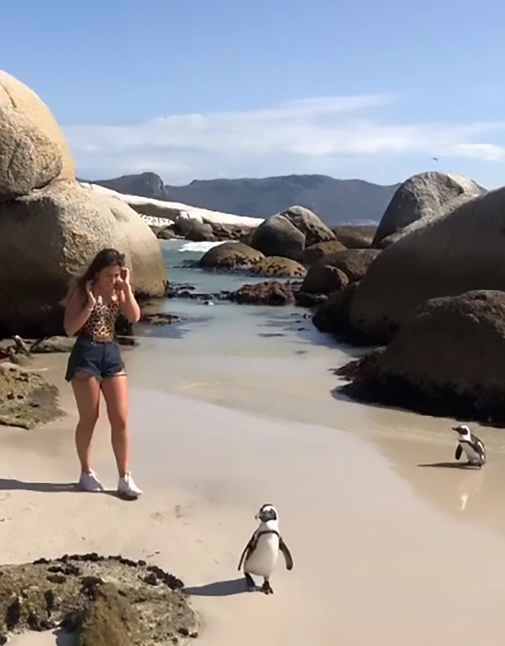 99E12E475E310F6728908B