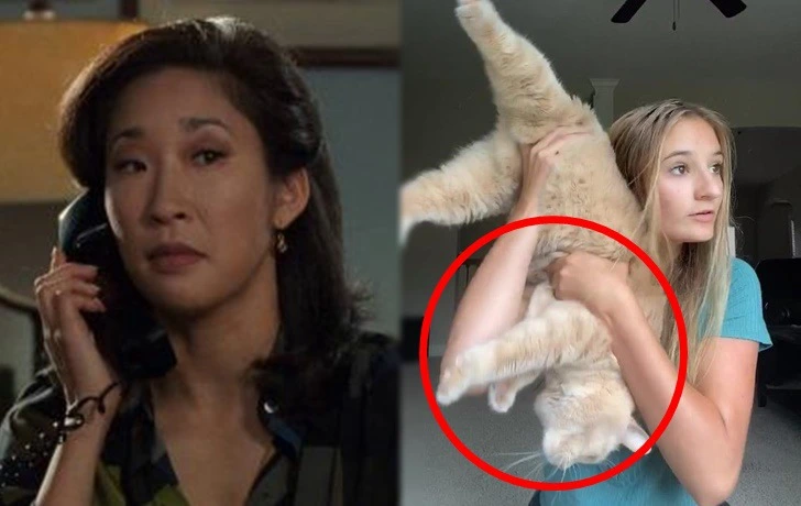 9978CB485F1D505C27B633