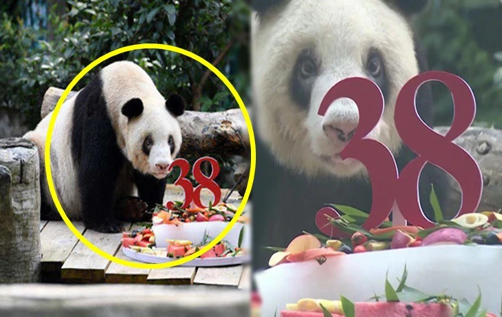 99E0214B5F3C79011D6275