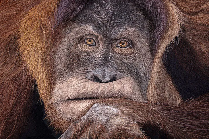 9962084C5F1FC0B9250293