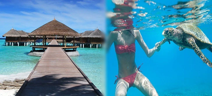 999BA5355CFA3B6B172C67