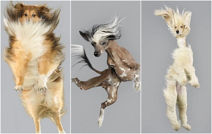 99079F4B5F2666490F2D3A