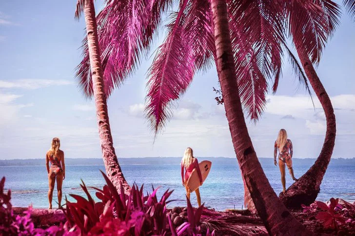 998EBA3C5D356AC3019375