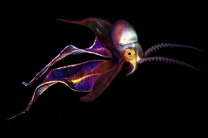 99ABFD4F5F597A01166A59