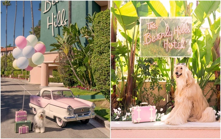 99465A335F8842A427A363