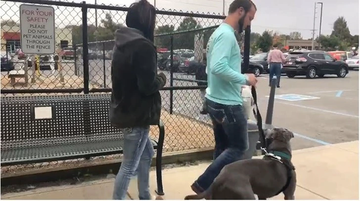 9999FB355FFC18D6195229