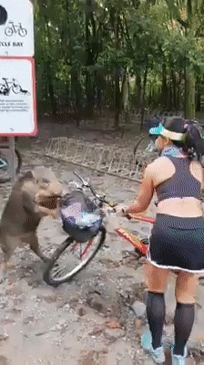 99A452345FBB6EEB38A5BD