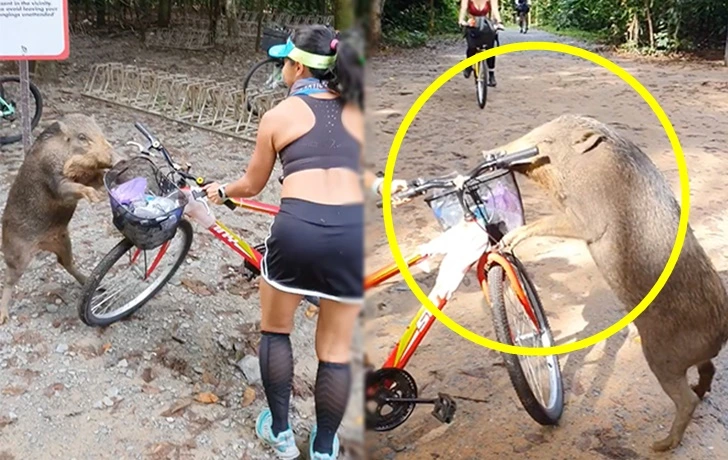 996B763A5FBB6EE73B6F7B