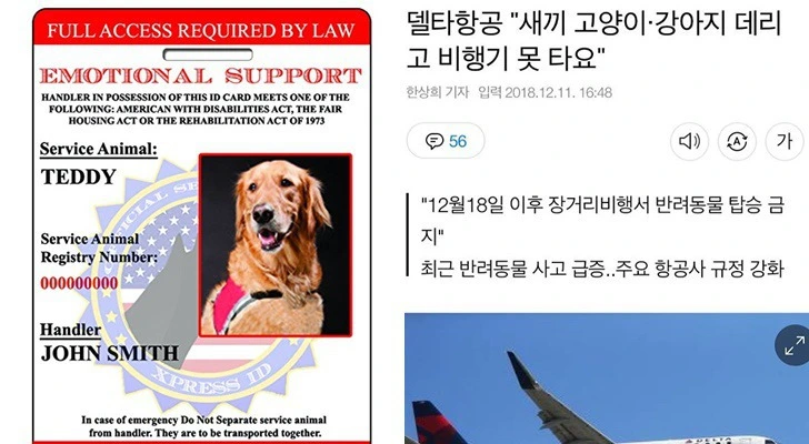 994C89435E23E11E084546