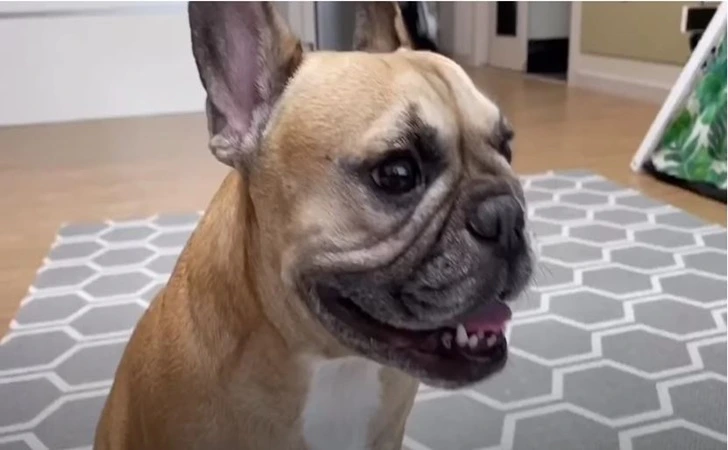 998B0D365FF24A480C1D9B