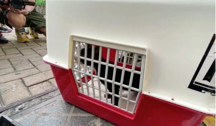 994F83335FC1FE681E720F