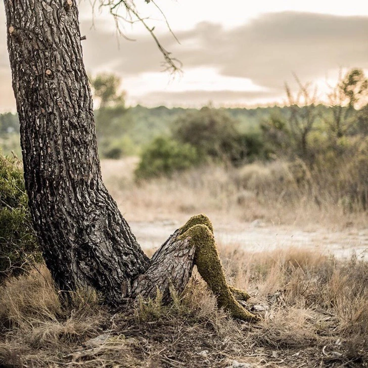 992C8F475F2BC6C831F5F6