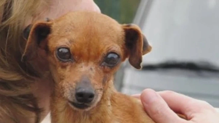 99020F3C5FE669FC05725F